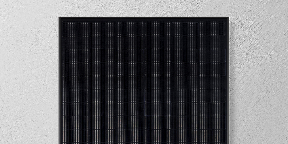 Qcells Solarmodul vor weißer Wand