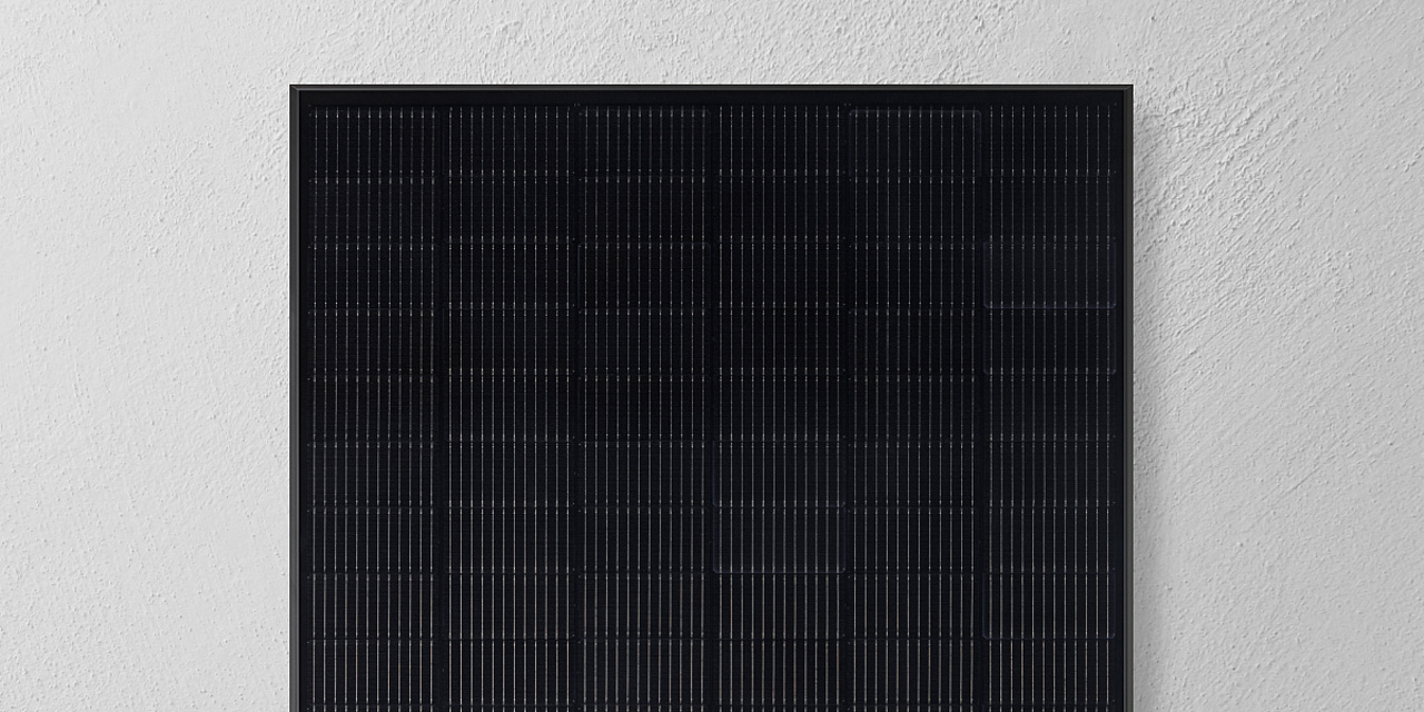 Qcells Solarmodul vor weißer Wand